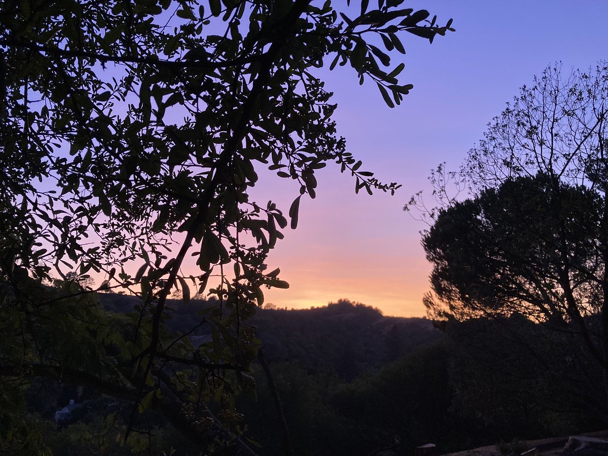 Pam Kan-Rice tweet media