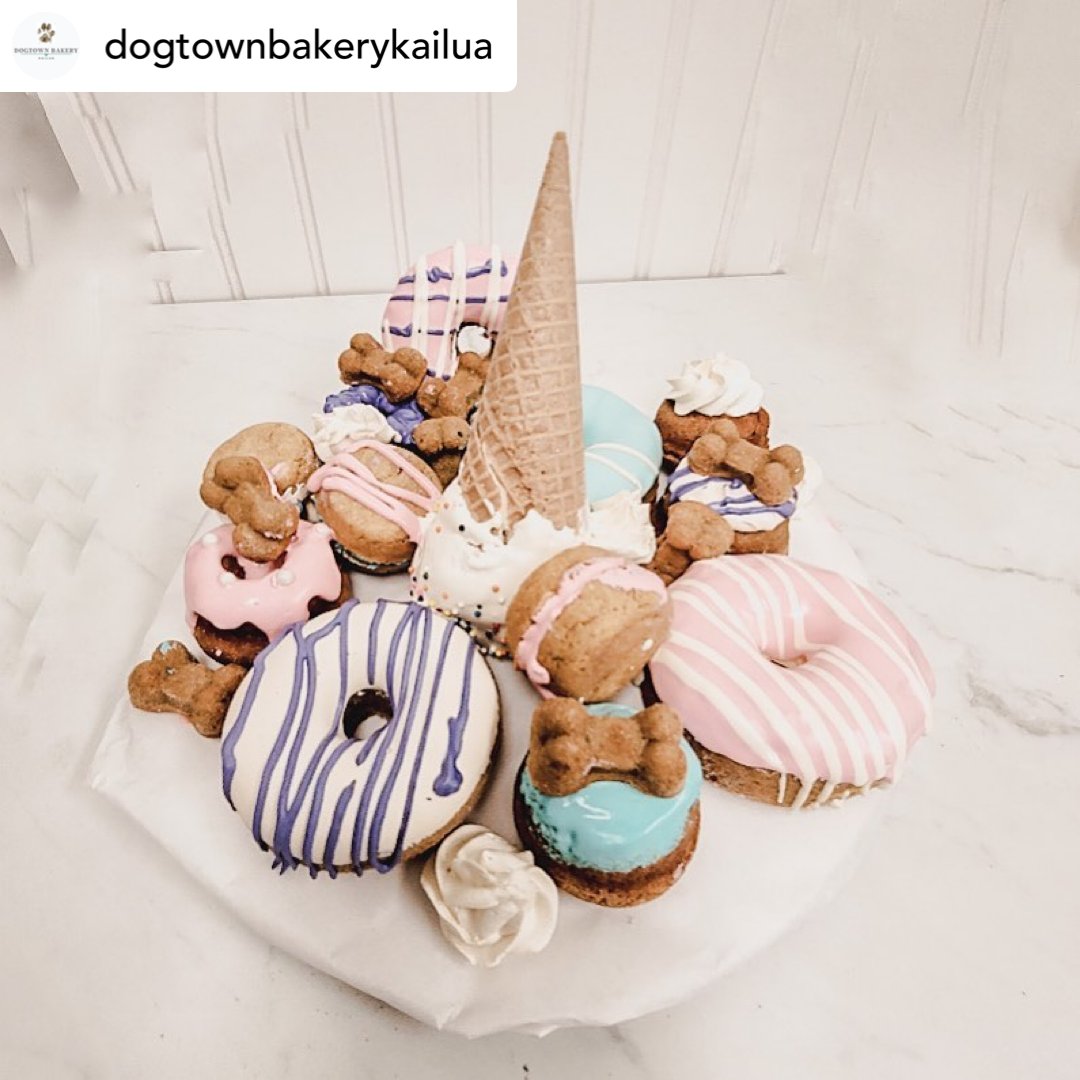 HawaiiShops's tweet image. The cutest little treats for you doggies! PC: @dogtownbakerykailua