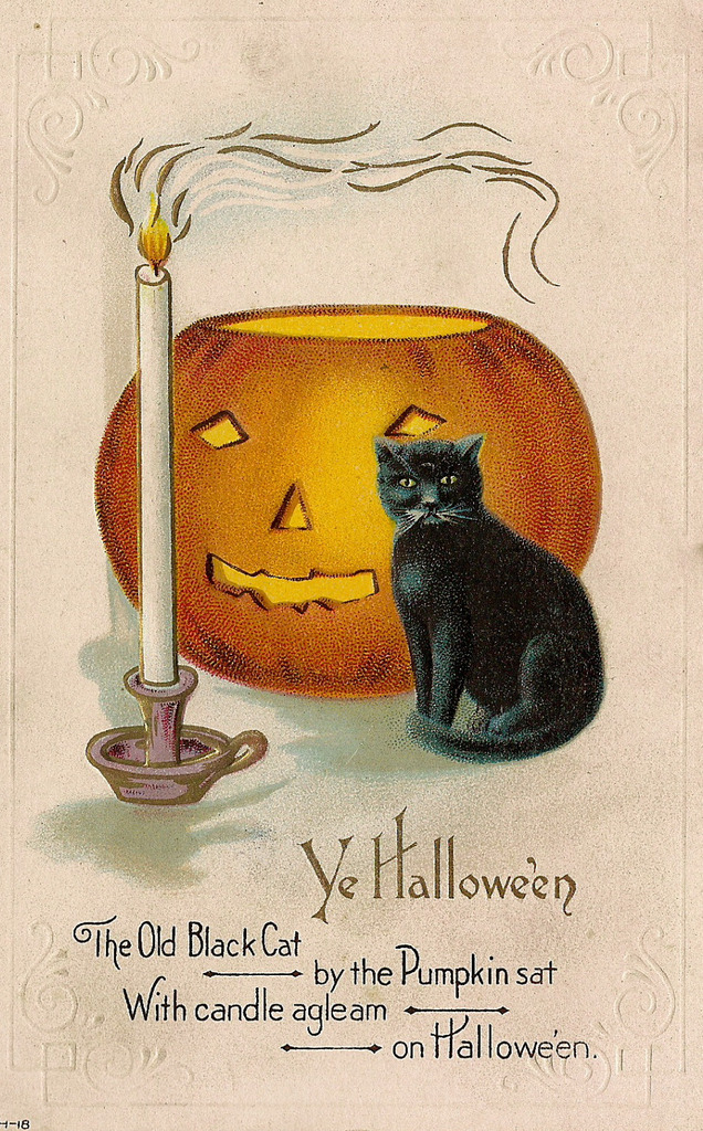 weird_christmas's tweet image. Ye olde black cat? How old…olde?