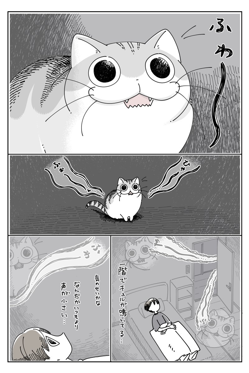 ねこが心配になる夜中
https://t.co/WZ1AACoiNp 