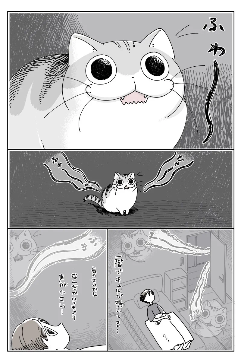 ペットが鳴いてたらどんな時だって心配？「ねこが心配になる夜中」