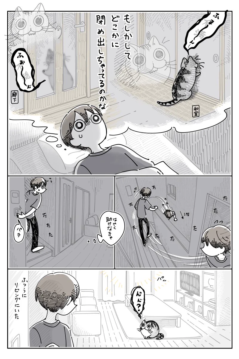 ペットが鳴いてたらどんな時だって心配？「ねこが心配になる夜中」