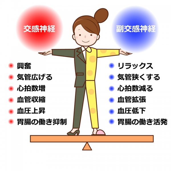 運転中にイラッとしたら腹式呼吸を

あおり運転の加害者にならないために! イラッとした時の「アンガーマネジメント法」

交感神経を鎮め、副交感神経を働かせることができる唯一の手段が「呼吸」です

https://t.co/h9hW1d4u2j 