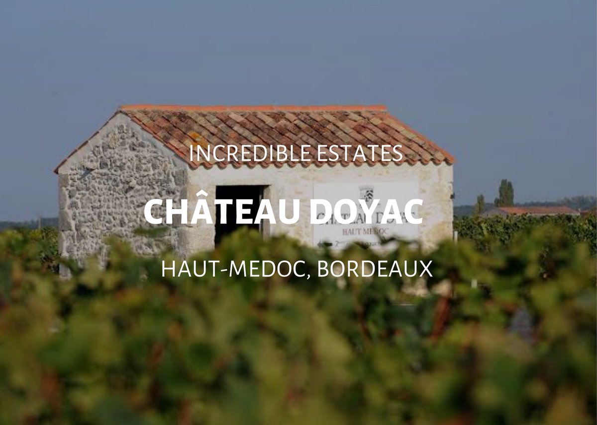 Le Plonque tweet media