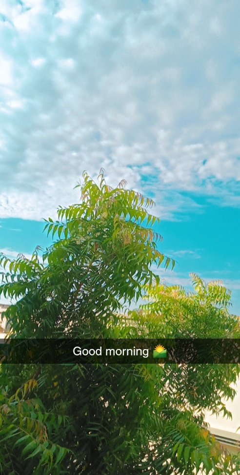 toobabaloch2's tweet photo. Good Morning 🌞 https://t.co/09lJIN2png