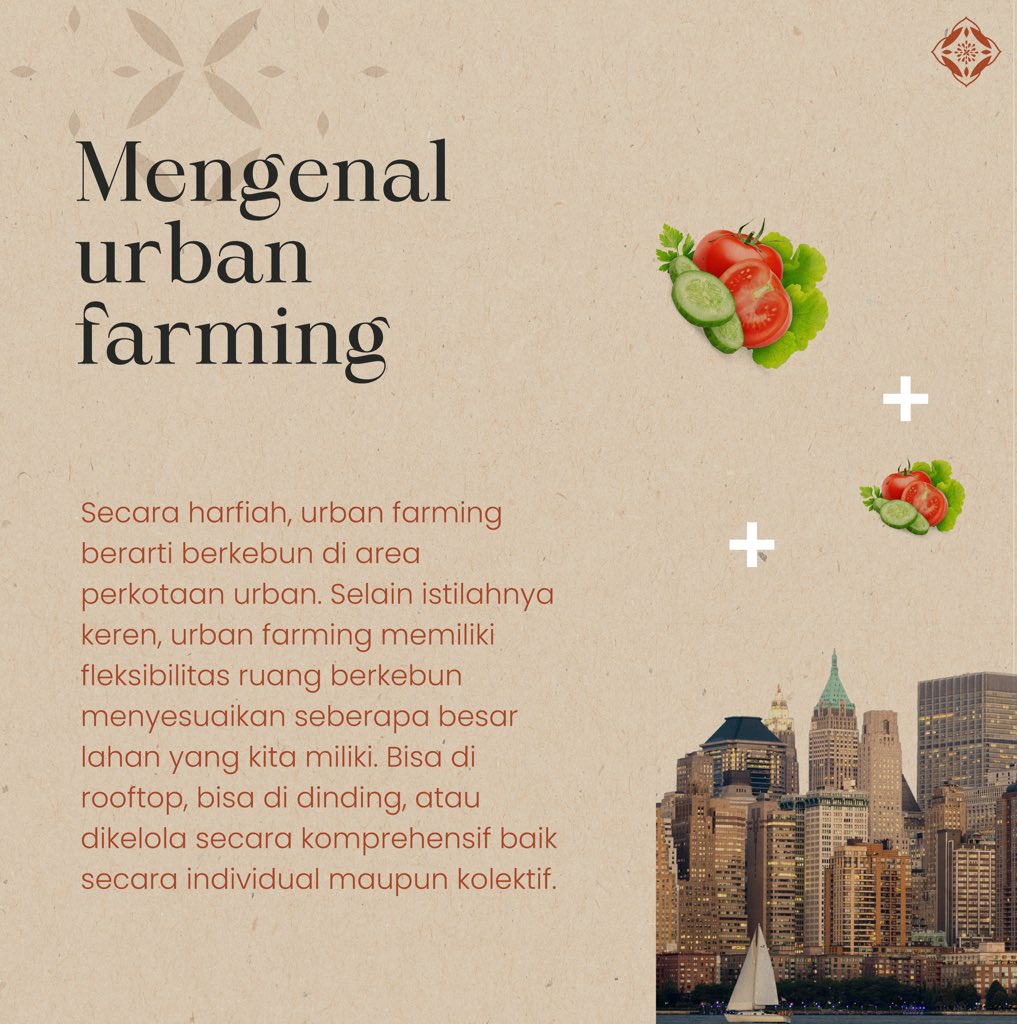 sellyshafira's tweet photo. Solusi Swasembada Pangan #1: Urban Farming
#SwasembadaAngan
#lpdp_ri #IndonesiaTumbuhIndonesiaTangguh #DiriUntukNegeri #AkuPastiMengabdi #PK175 @lpdp_ri https://t.co/eh5IscpNTb