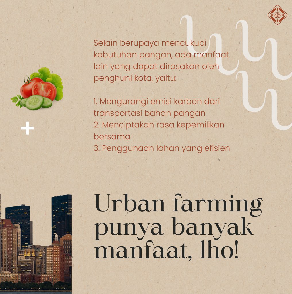 sellyshafira's tweet photo. Solusi Swasembada Pangan #1: Urban Farming
#SwasembadaAngan
#lpdp_ri #IndonesiaTumbuhIndonesiaTangguh #DiriUntukNegeri #AkuPastiMengabdi #PK175 @lpdp_ri https://t.co/eh5IscpNTb