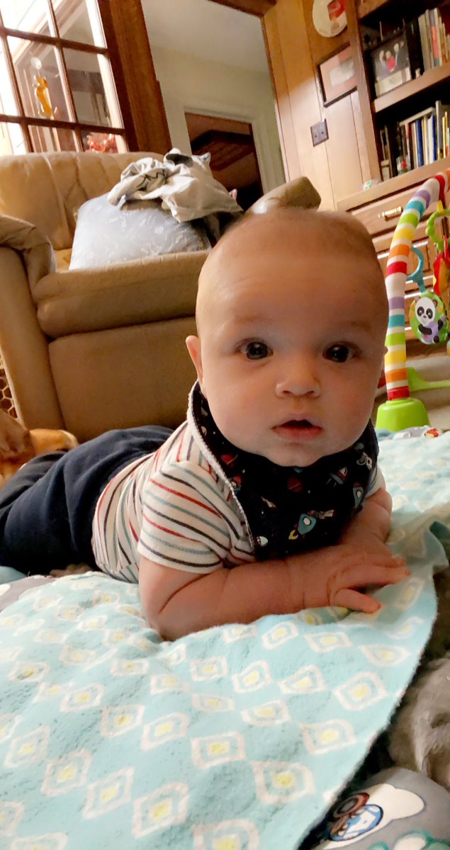 itslauren_babby's tweet photo. Baby Silas update💕 https://t.co/u5KXAuwehv