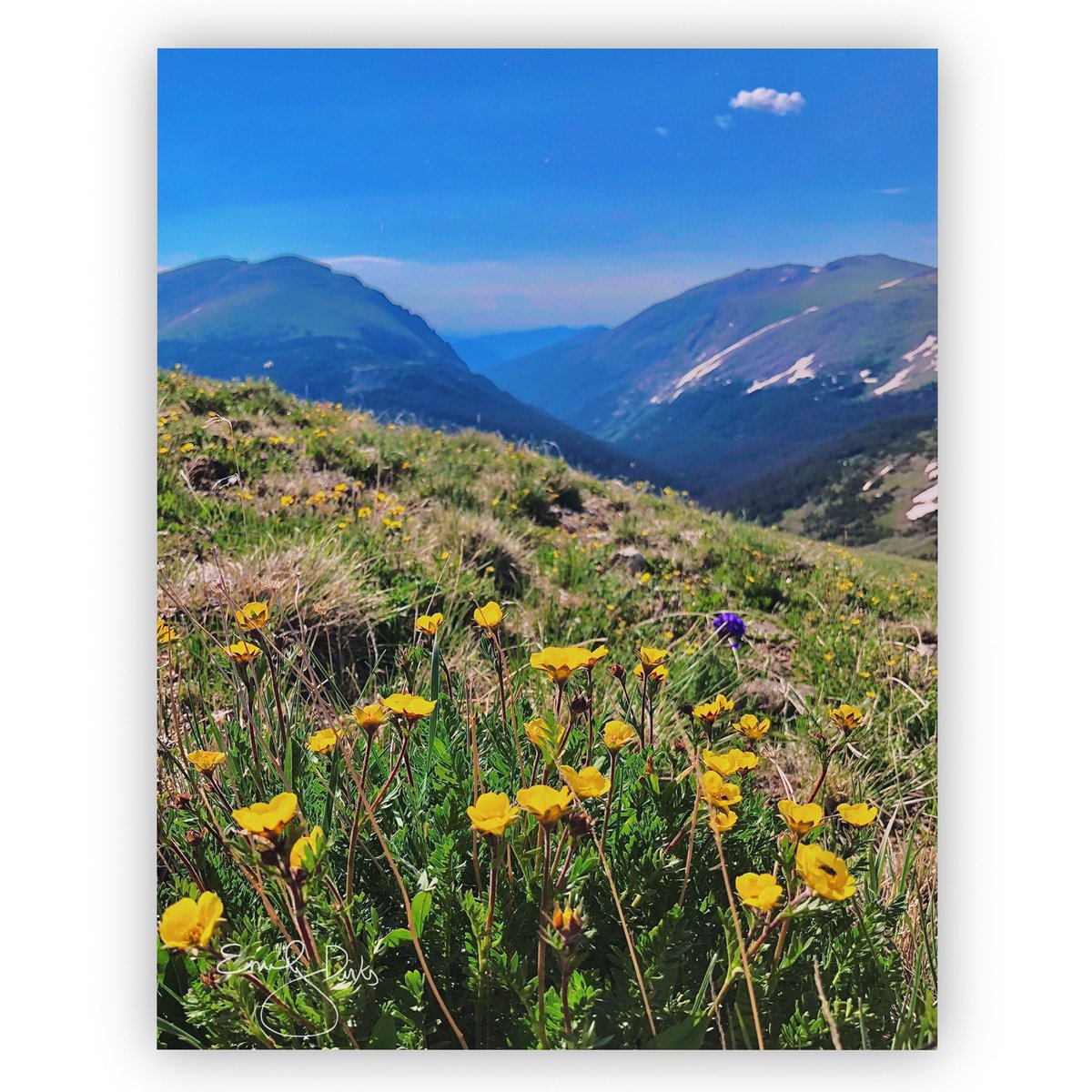 EmilyDirkss's tweet photo. @gabriellamort 🌿✨🏔 https://t.co/EvU7WNurkh