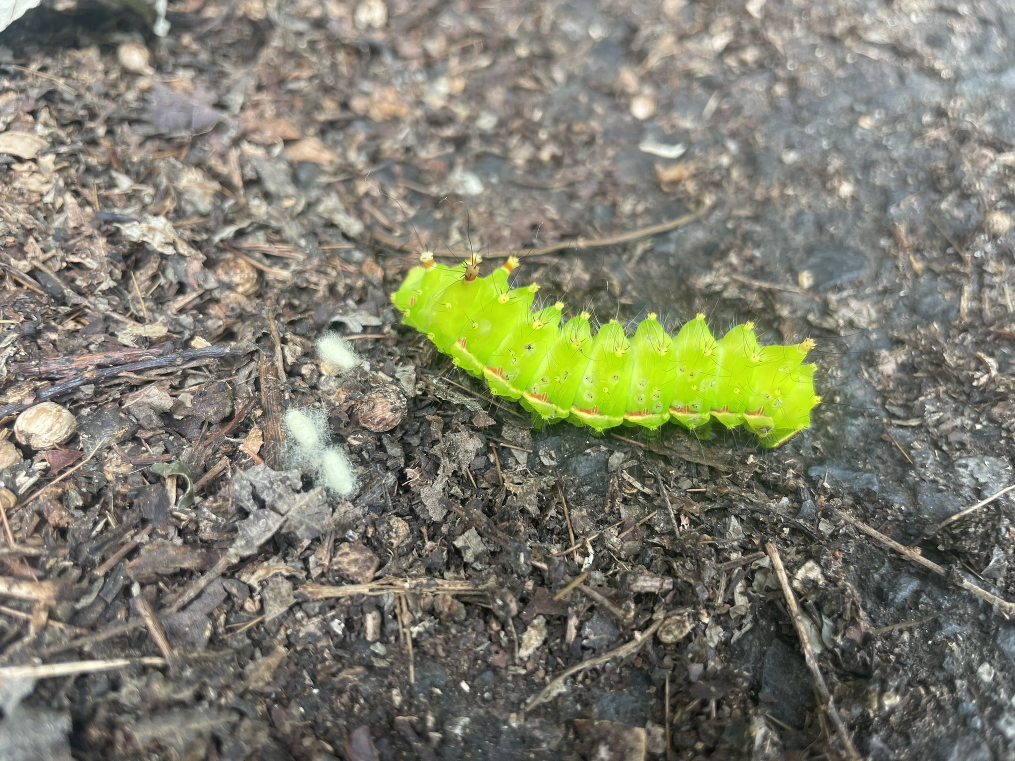 すいあ on Twitter 