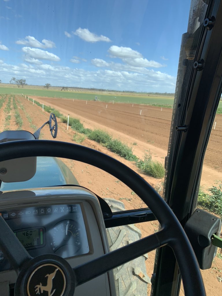 Chloe Burrell tweet media