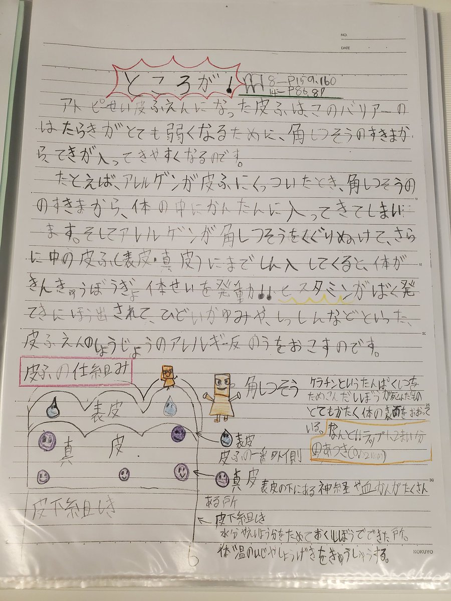 病態のつかみ方がプロ。
そして、イラストがすごく分かりやすいでづ😊
アトピービジネスまで踏み込むとは…やるなあ…😌
2/n 