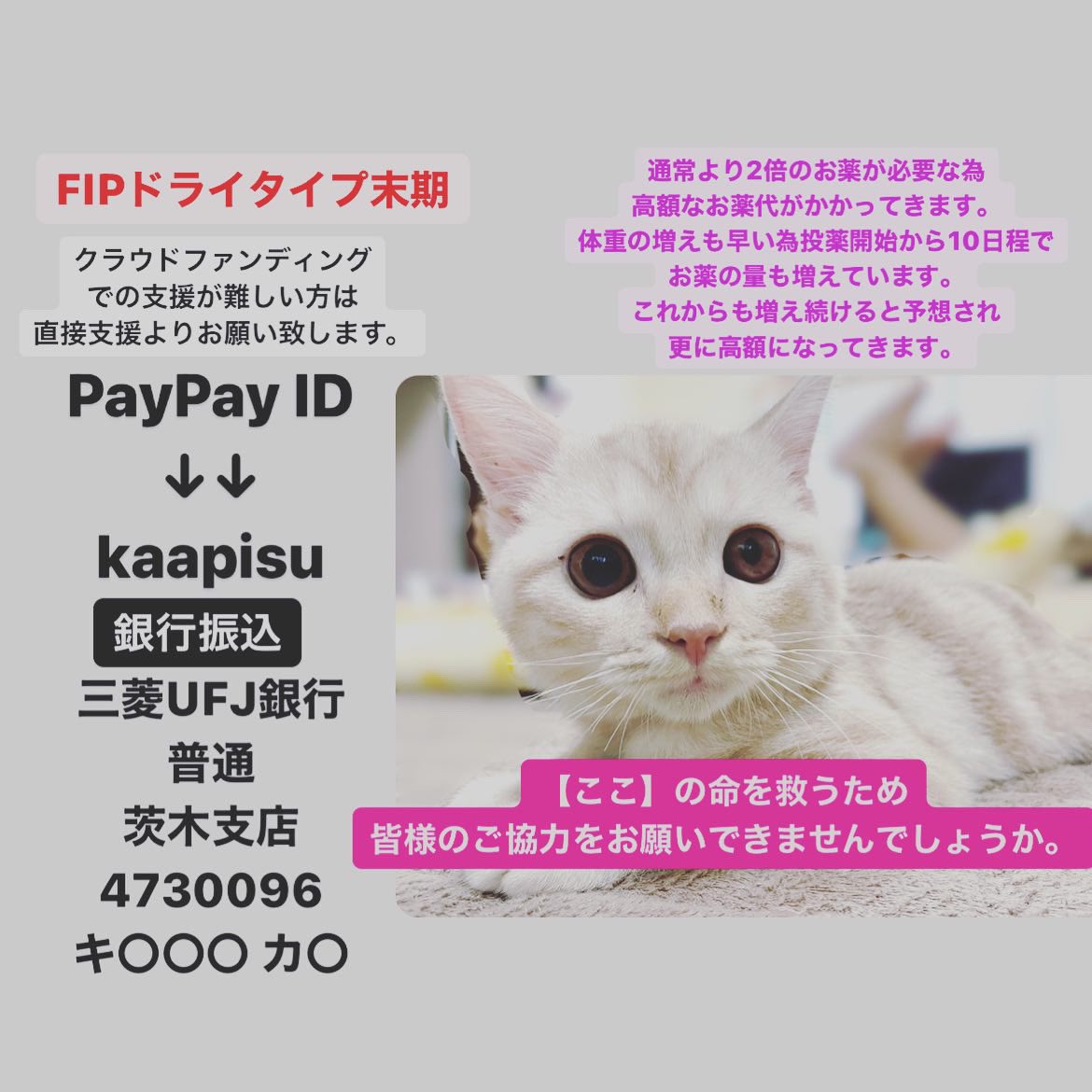 神経症状 Twitter Search Twitter