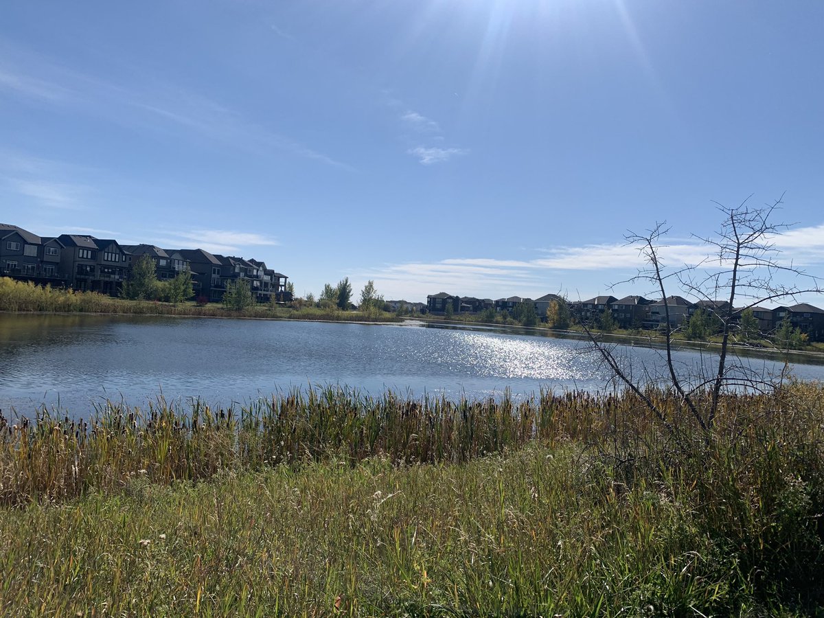 Nature walk with the grade ones: a perfect afternoon…
Does it get better than this? Happy kids &amp; happy teachers! ❤️