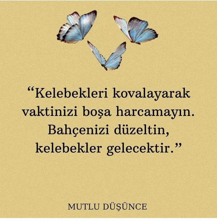 #Günaydın Dostlarım mutlu huzurlu bir gün dilerim hepinize....
🦋🦋🌺😘
<a href="/Barclays_AA/">Barclay's</a>  <a href="/ssakkose/">ssakkose</a>  <a href="/SindirellaD/">Sindirellaa Durushhh</a> <a href="/PopeDeniz/">zɐulndɐɥɔ 🐈‍⬛</a> @arseniklumpen