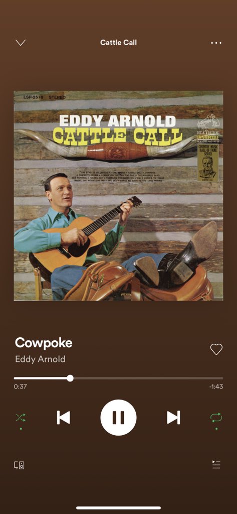 Raythompson_100's tweet photo. Unpopular opinion this is the only version of cowpoke worth a flip I said what I said 🤙🏼 https://t.co/ERilyRbG0P
