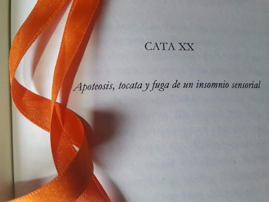 madejasdevida's tweet photo. A #CataXX #LibroCasas #FrancescPicas
Por su mente caminan palabras mudas que expresan más de lo que uno podría imaginar. En el insomnio de las horas en fuga atino a correr desde la vista con el pensamiento por ver si lo encuentro despierto en sus letras. https://t.co/PGtDdzsMeK