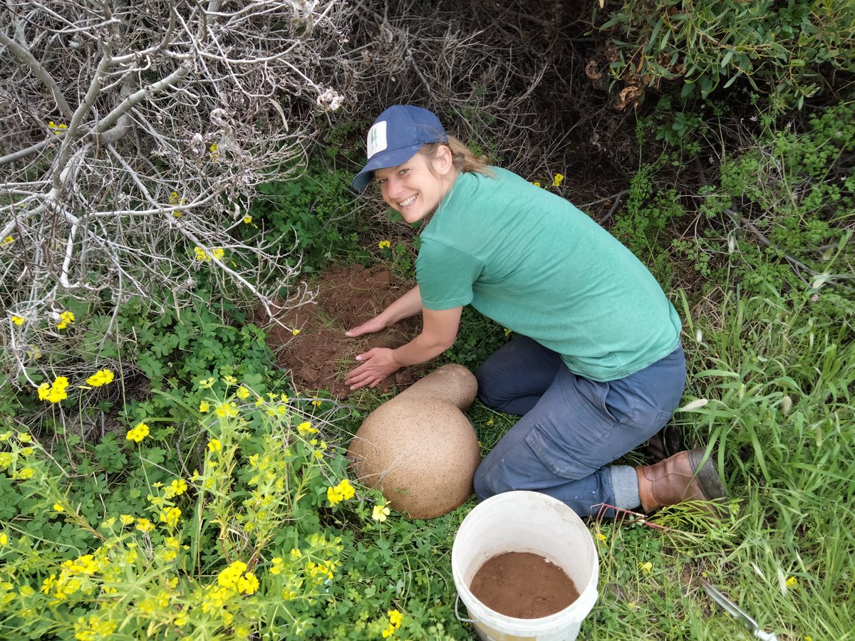 #Excited to be selected as @UniAdelSciences #speaker 4 #KangarooIsland #Network #Carnival talking #Sciart #penguin #Ceramic #habitat #restoration

<a href="/Sean4Sea/">Sean Connell</a>
<a href="/BronGillanders/">Bronwyn Gillanders</a>
<a href="/AUS_NZ_Seabirds/">AustralasianSeabirds</a>
<a href="/ceramicartdaily/">Ceramic Arts Network</a>
@heidikalleway

m.facebook.com/story.php?stor…