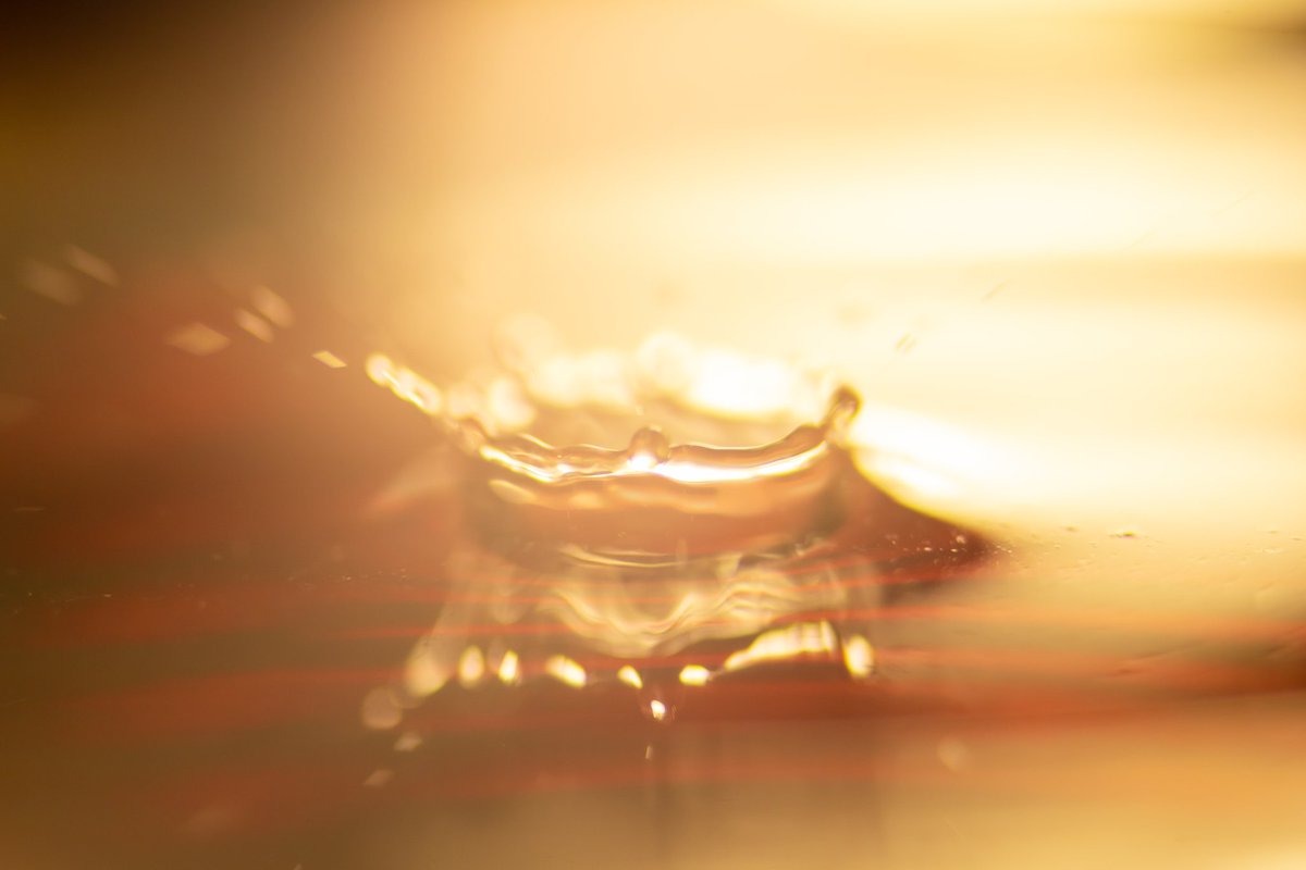 binitestudios's tweet photo. More water drops 🥰🥰🥰
•
#macro #macrophotography #waterdrops #water #lights #red #orange #fall #fallcolors #splash #rbg #night #sonya7iii #meike #binitestudios #photooftheday #photographer #photography #pro #lightphotography #lightpainting #art #artist #asthetic https://t.co/j5VMy4JOPI