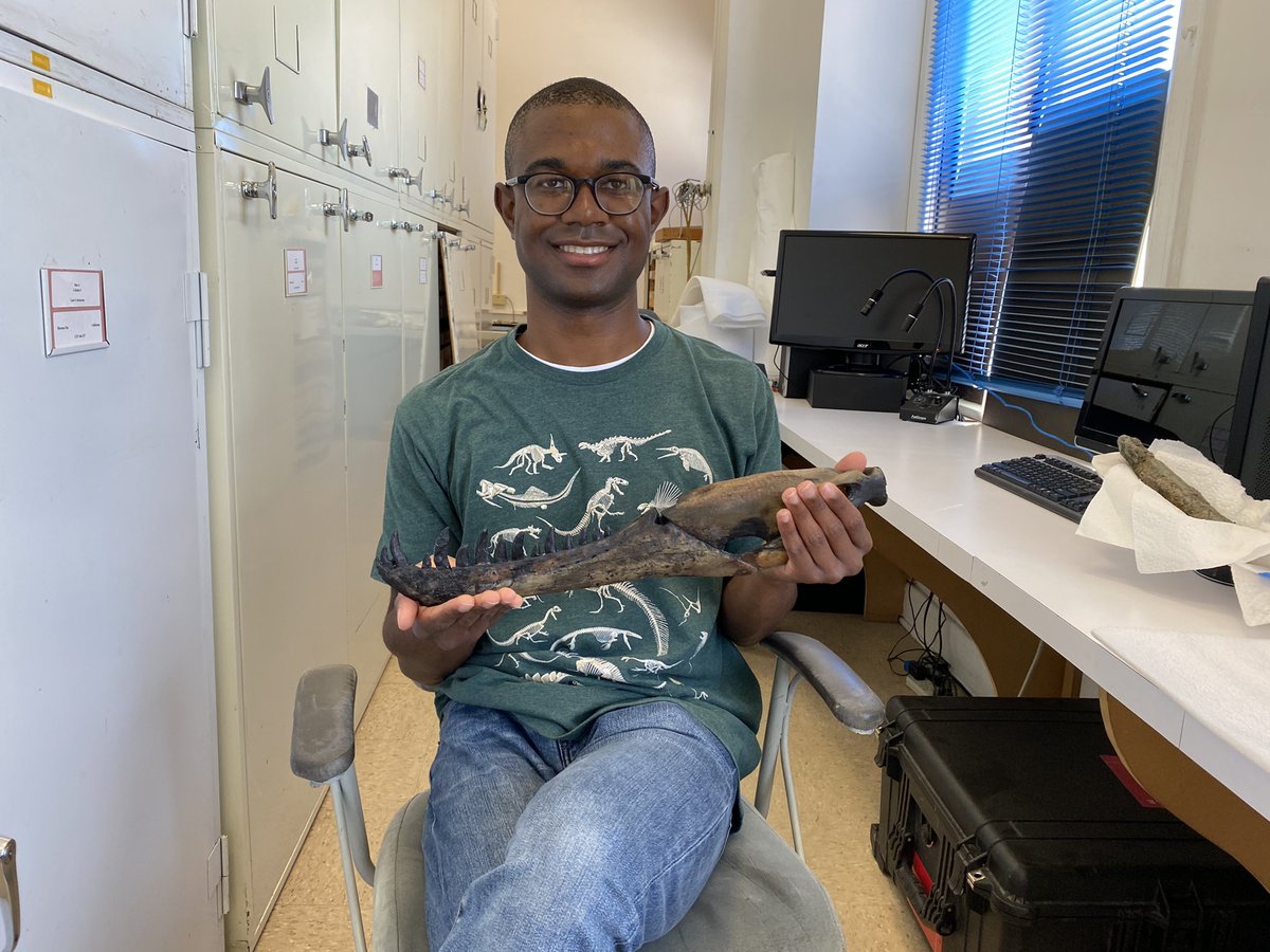 EJR_Paleo_MSc's tweet photo. I have a habit of holding tyrannosaur jaws. I was at the collections of @NHMLA studying the lower jaw of the baby #Tyrannosaurus 🦖, which belongs to the same specimen that is on display. #FossilFriday https://t.co/XakxeCP90Q