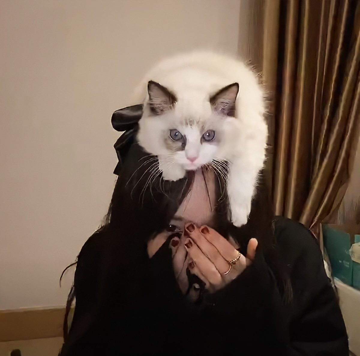 Maxinum_nolia's tweet image. เจอคำว่า &quot;โดเนทตามยอดรี&quot; แล้วจะร้องไห้ อะตอม คือ รัก #เนเน่ จริงๆ อ่ะ อิคนปั่นด้อมโกงเงิน ค้องเอาให้ถึงที่สุด เล่นกับ ความรู้สึก ฟค แบบนี้ #NeneXREAGAN2ndCover โดเนทตามรี ถึง 13.00 !!!!