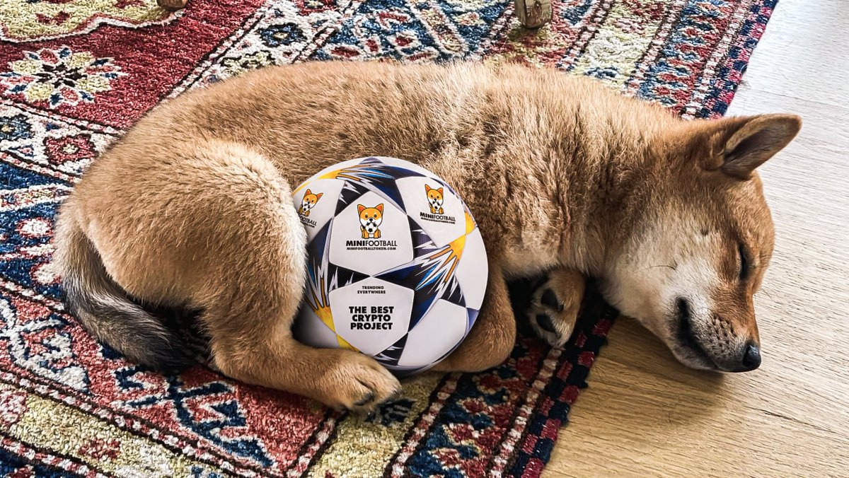 minifootballeth's tweet photo. @elonmusk Hey Elon

What do you think of this ball we got for Floki? Hope you like it 😊 ⚽️ https://t.co/zHQ4R49dJu