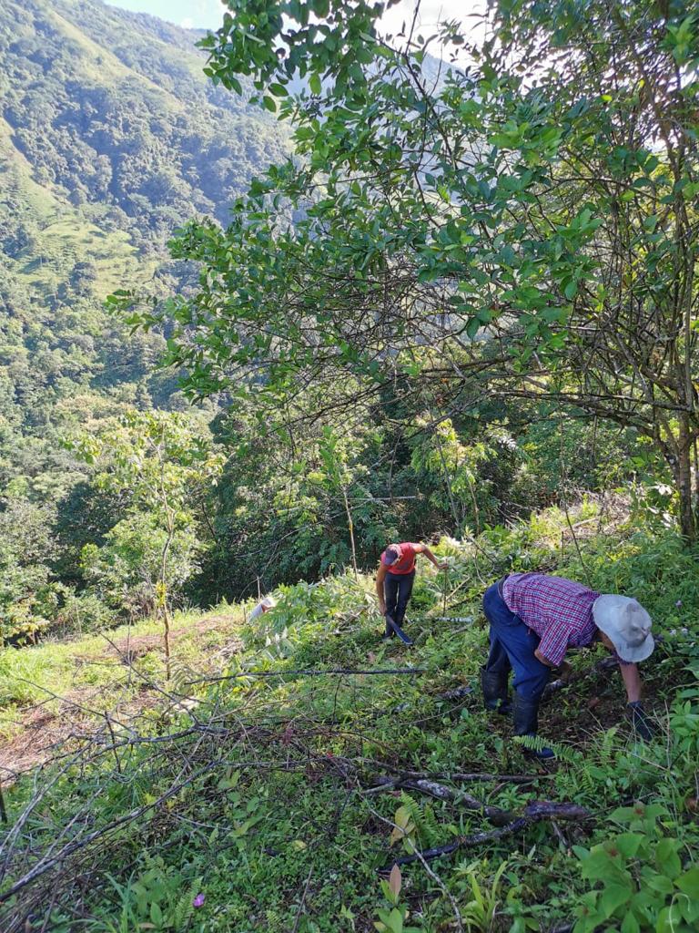 SmartbiteSnacks's tweet image. It's 𝗡𝗮𝘁𝗶𝗼𝗻𝗮𝗹 𝗙𝗼𝗿𝗲𝘀𝘁 𝗪𝗲𝗲𝗸!
With our 🌲 partner @treeeraco we are proud to plant #trees in Canada but also Africa and Costa Rica. Today we’d like to recognize our Costa Rican planting partner and their Shangri Lanas Reforestation Project. ⁣#NationalForestWeek