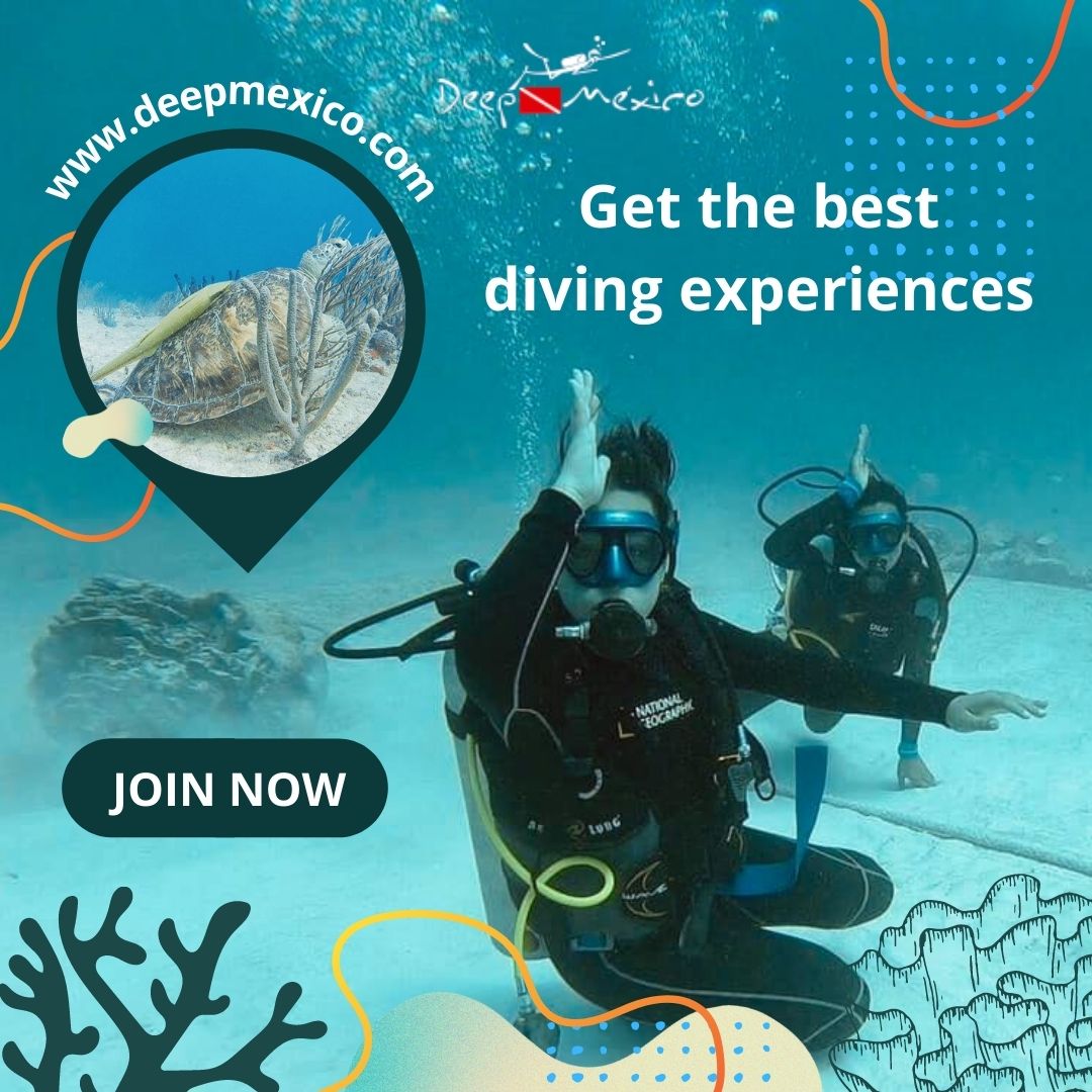 DeepMexico1's tweet image. Divetulum

If you are vacationing in an area where dive tulum is a popular attraction, you may want to make your diving reservations in advance through Deep Mexico, to ensure that you are able to get a spot effortlessly.

Click here : deepmexico.com