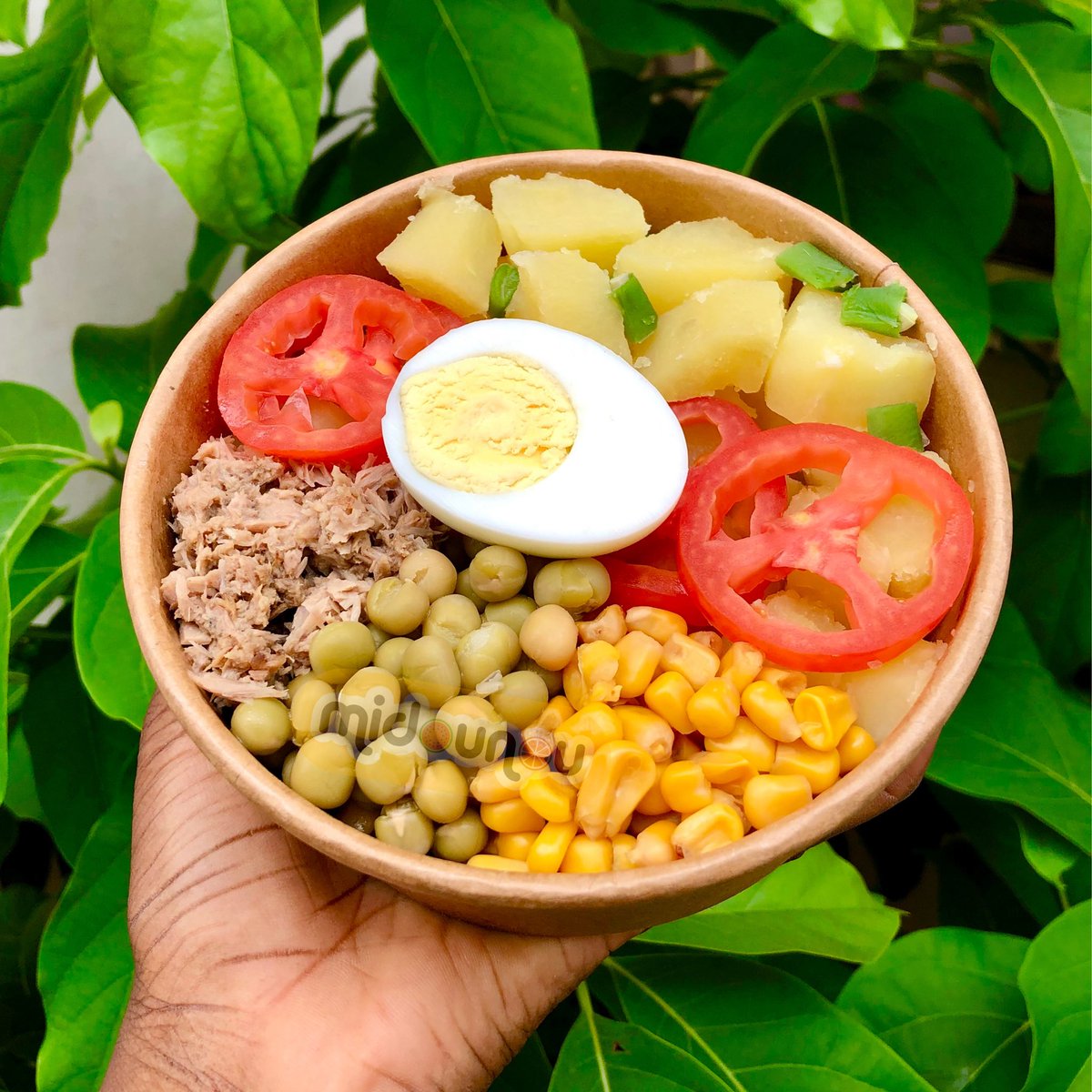 Midounou1's tweet photo. Hello! On est Vendredi😌🥳
Salade de pomme de terre aux thons 🥳
1500f
Livraison 500f
📲 228 91344940
#midounou #heathyfood #TgTwittos https://t.co/QzO3lRyz3a