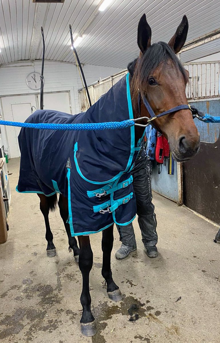 KoivistoRami's tweet photo. Opetus sujuu kuin (ammattitanssijan) tanssi.. #pappappero #haukipudashorseclub #explosivematter #ravit #kimppavarsa https://t.co/BpYph2ik3v