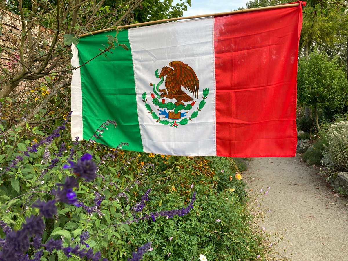 Lullingstone's tweet photo. The Mexican flag is now in pride of place for our 'Cactus at the Castle' weekend...keep an eye for more videos todayπ https://t.co/vso2iR3IGA #happyfridayeveryone #mexicanweekend https://t.co/dWua0cY76J