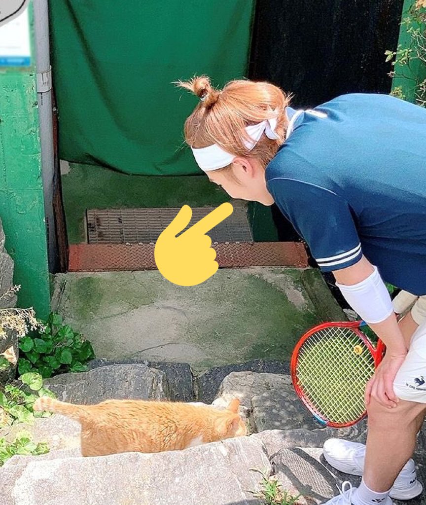 고양이 보고 뽈록 올라간 시우민 광대에,, 별안간 길바닥에서 눈물만 줄줄 흘리게 된 여성,,,  저예요