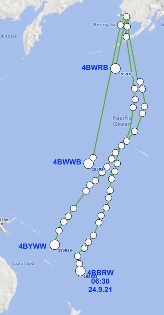 Well the adult godwits are getting close to arrival, the first is expected tomorrow afternoon, with the second due on Sunday, but note two more are the move but do not report very often so hard to keep track of