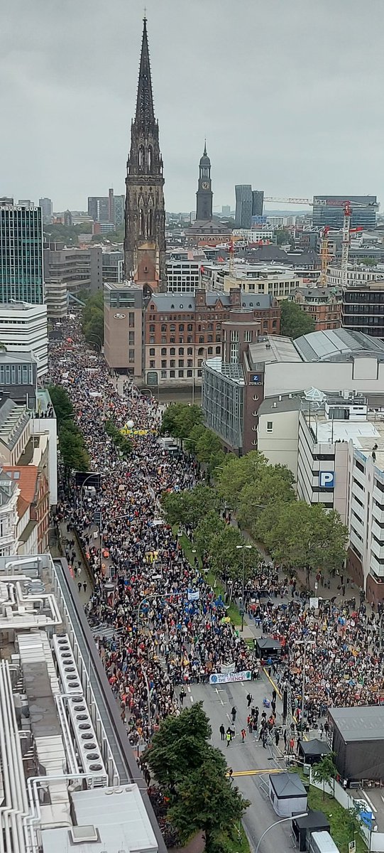 Blick von oben auf die #FridaysForFuture Kundgebung in #Hamburg