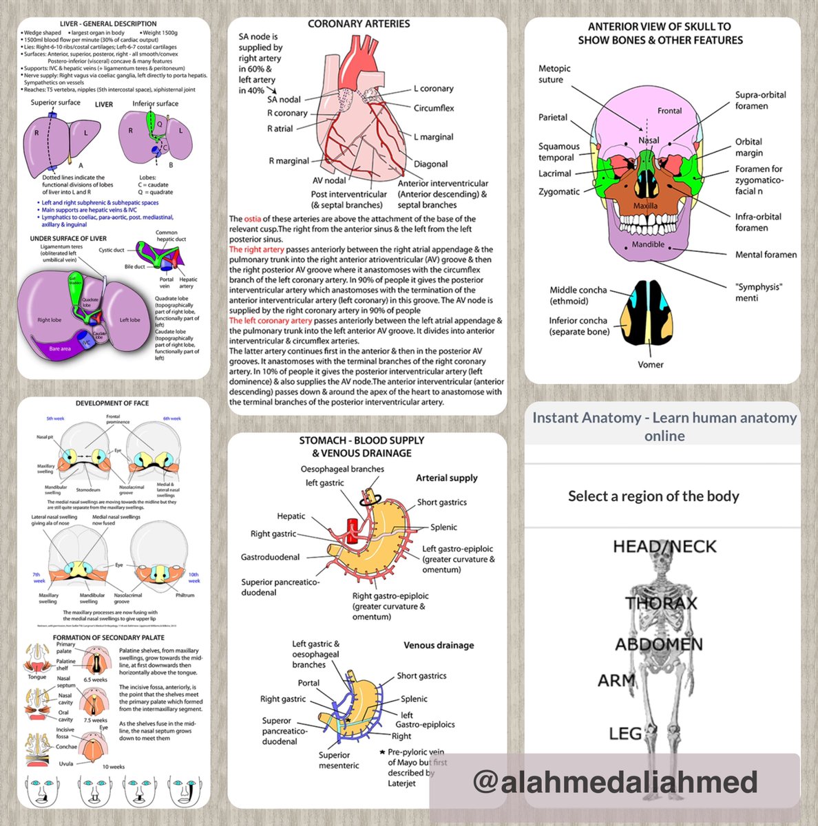 alahmedaliahmed's tweet photo. موقع جميل لعرض ومراجعة معلومات عن 
Anatomy 
بشكل مبسط ومقسم لعدة اجزاء حسب body region

https://t.co/ntShUXvBMT https://t.co/x0J53nCsqZ