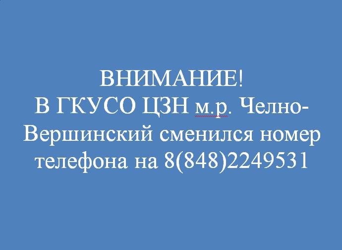 Буйволов александр владимирович челно-вершины. Центр занятости населения челно вершины. Центр занятости исаклы. Центр занятости населения челно вершины. Семинарское занятие.