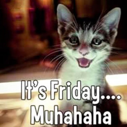 genlty's tweet photo. Just realized it's friday https://t.co/ueBwy7iG1D
