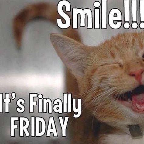 genlty's tweet photo. Just realized it's friday https://t.co/ueBwy7iG1D