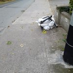 Photo by Celbridge Access Group (@CelbridgeAccess)