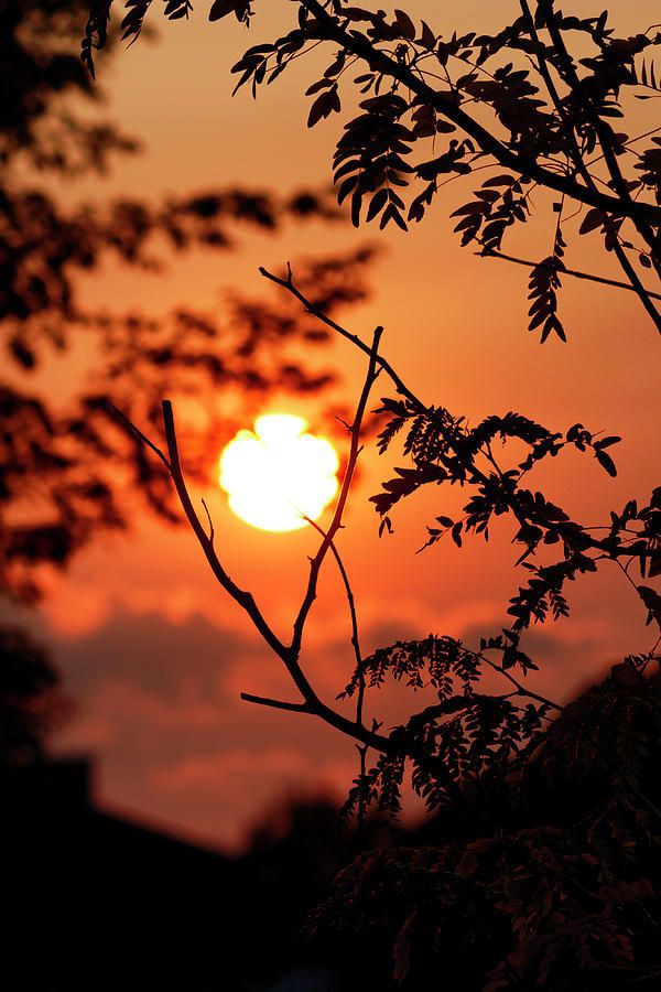 осенняя ночь стихи красивые. осенний ночной текст. осенней ночью светлой и тихой. осенний сон. доброй осенней ночи , стихи.