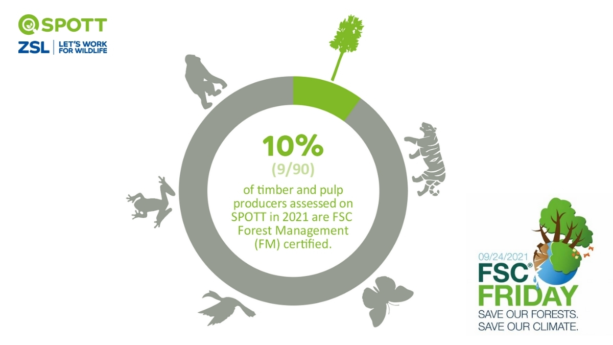 Only 9/90 of the world's top tropical timber and pulp producers, assessed on SPOTT, are 100% FSC Forest Management (FM) certified . ZSL is urging producers to commit to #FSC and protect our #forests. #FSCFriday2021 <a href="/FSCUK/">Forest Stewardship Council (FSC) UK</a>