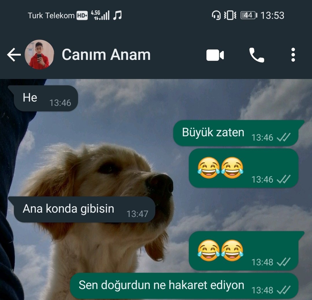 Buna susmaktan başka ne diyebilirim ki