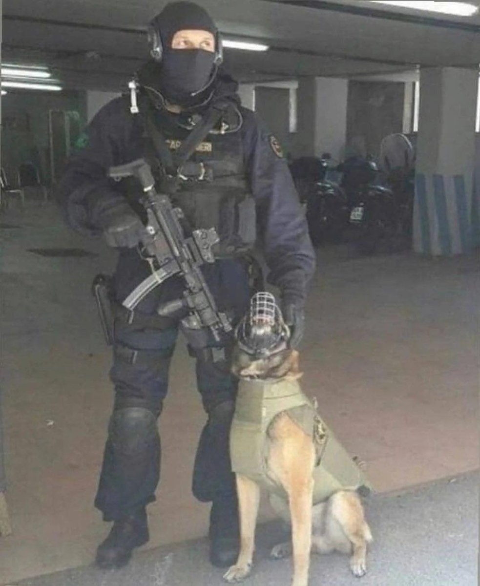 jmscaronte's tweet image. Raider of GIS (Gruppo Intervento Speciale) #CTSFO #Polizia #carabinieri #italy #K9