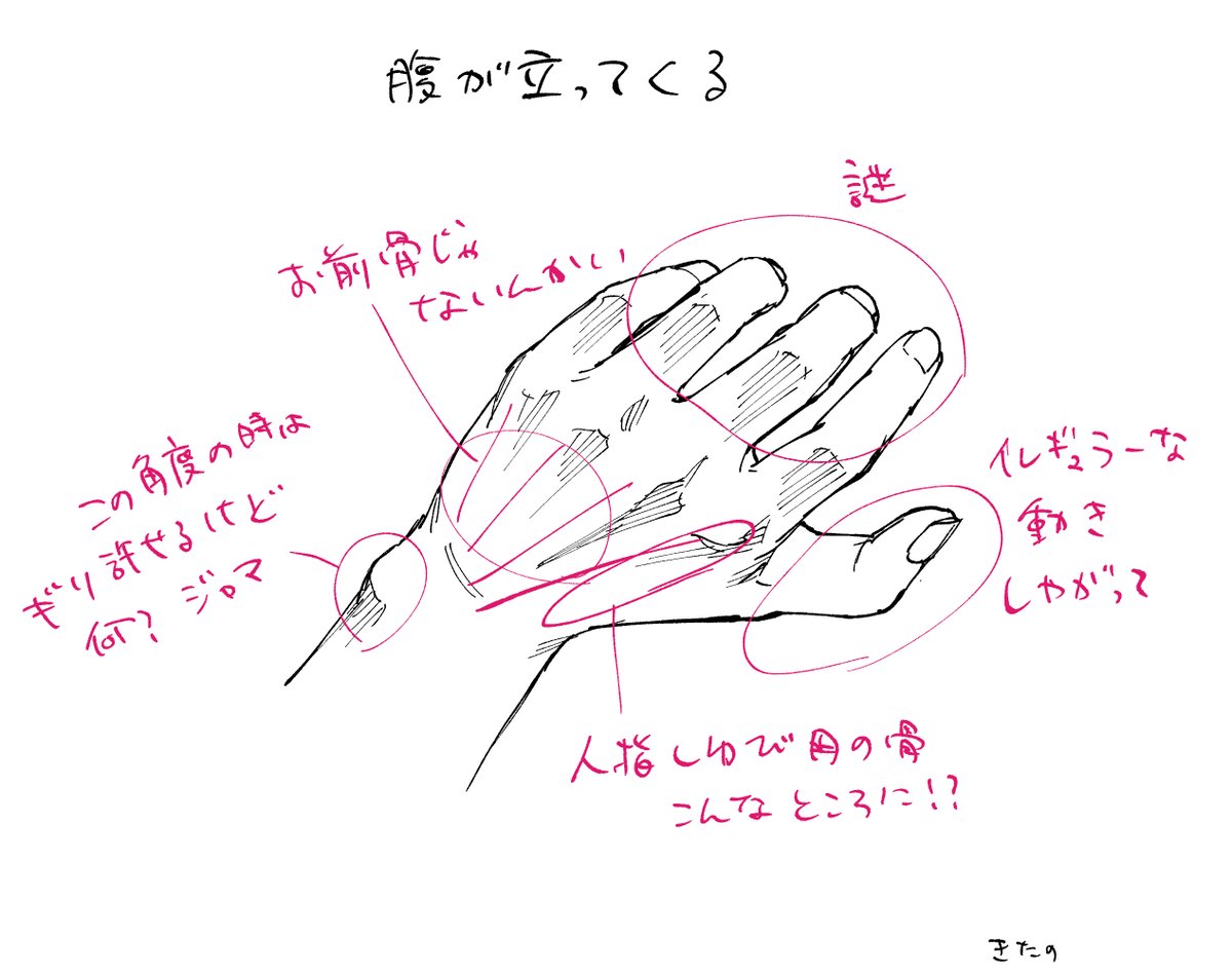 手の描き方 