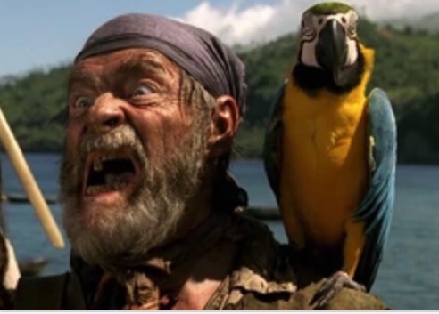 see no difference 

#merkel #papagei #muttimerkel #arrrrrr