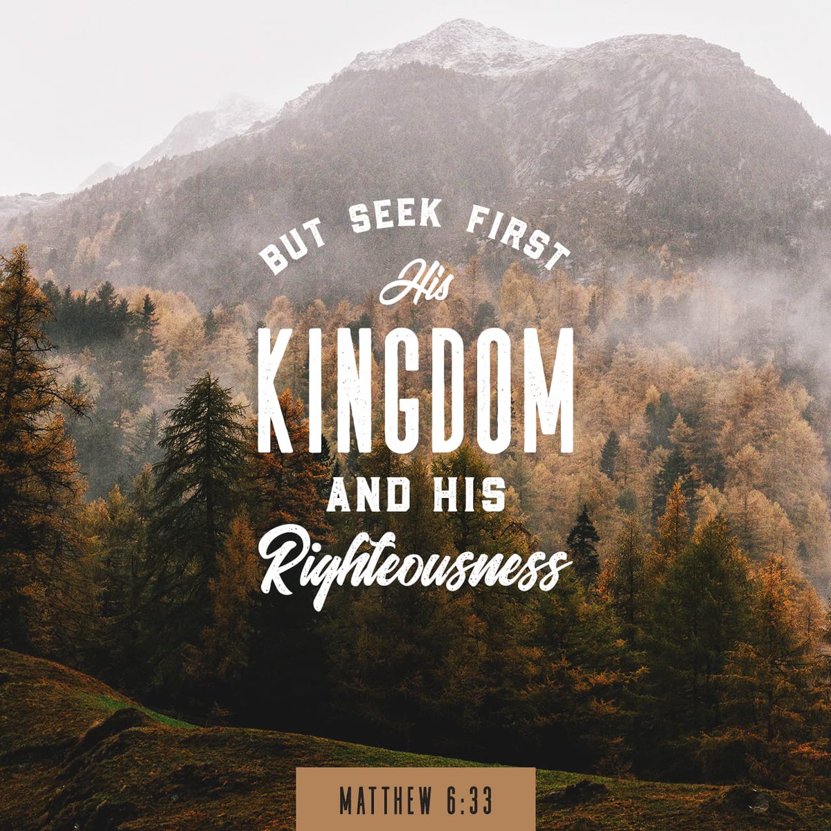 Daily_Bible's tweet image. But seek first his kingdom and his righteousness, and all these things will be given to… bible.com/111/MAT.6.33
