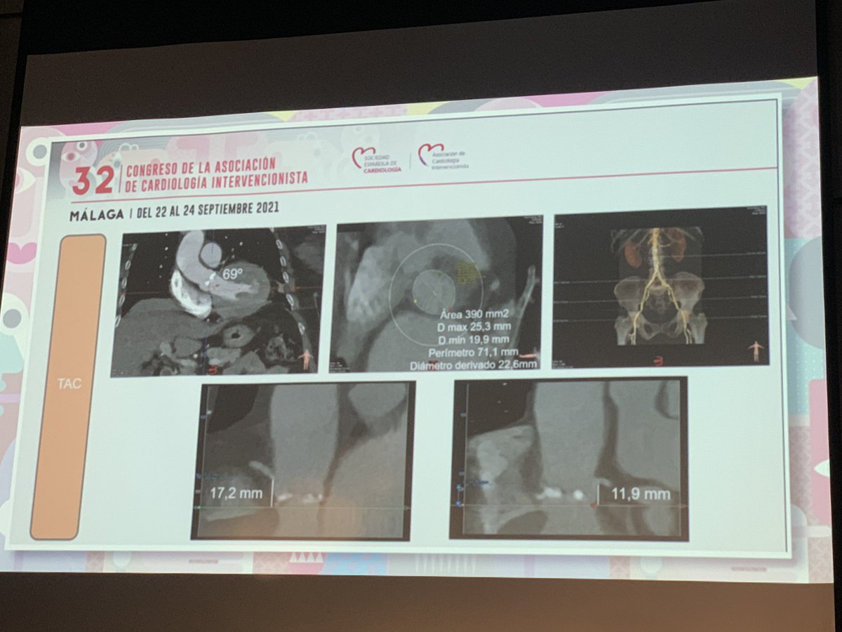 Belén Cid Alvarez tweet media