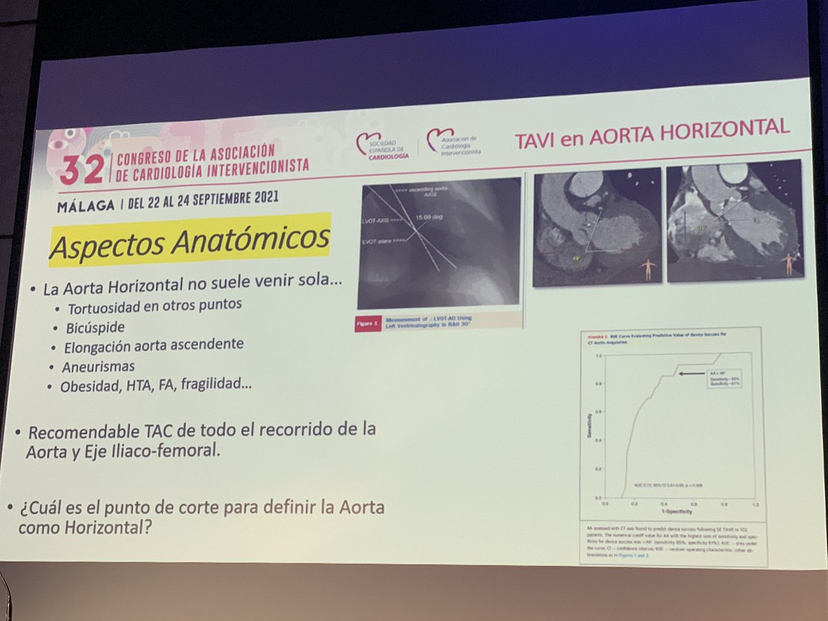 Belén Cid Alvarez tweet media