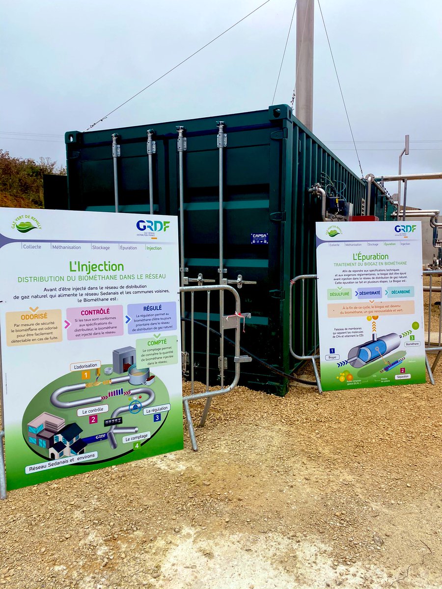 Manon Levieux 🌱 tweet media