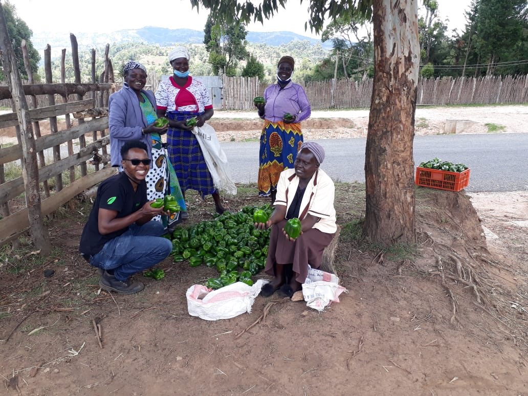 synnefa_KE's tweet photo. In our Friday #FarmSeries, we celebrate all the farmers who have given their all every day to make it possible to feeding the nation. 

You have to flaunt your hard work! We’re proud you as an agriprenuer. #Agri4Value https://t.co/ZWpkLcqPXn